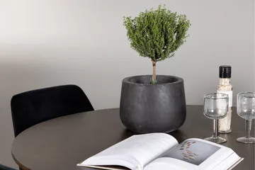 Kaseidon Matgrupp 100 cm Rund med 4 Night stolar - Svart - Products - Möbler - Bord & matgrupp - Matgrupp