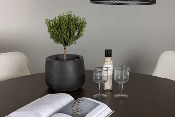 Kaseidon Matgrupp 100 cm Rund med 4 Rosie stolar - Beige - Products - Möbler - Bord & matgrupp - Matgrupp