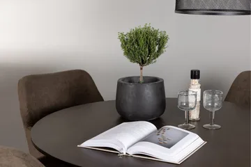 Kaseidon Matgrupp 100 cm Rund med 4 Tomorrow stolar - Brun - Products - Möbler - Bord & matgrupp - Matgrupp