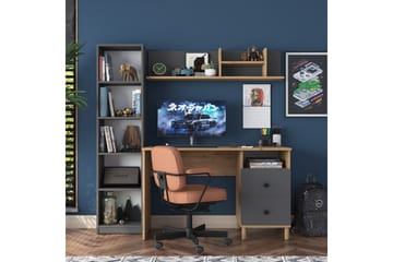 Eireann Skrivbord 50x120 cm - Valnöt/Antracit - Products - Möbler - Bord & matgrupp - Kontorsbord - Datorbord