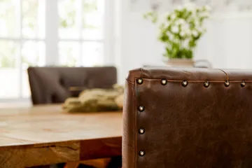 Lyon Förlängningsbar Matgrupp 200 cm med 6 Tuva Fåtölj - Natur/Brun - Products - Möbler - Bord & matgrupp - Matgrupp