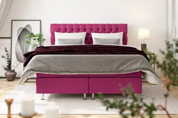 Celine Sängpaket 180x200 cm - Rosa/Sammet - Products - Möbler - Säng - Kontinentalsäng