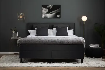 Lucky Komplett Sängpaket 160x200 Polyeter Slät - Nackkudde Stor Svart/Grå - Products - Möbler - Säng - Kontinentalsäng