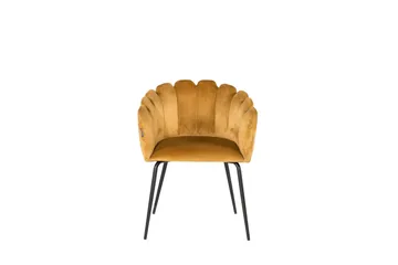 Limhamn Stol Sammet - Gul - Products - Möbler - Fåtölj & stolar - Matstol & köksstol
