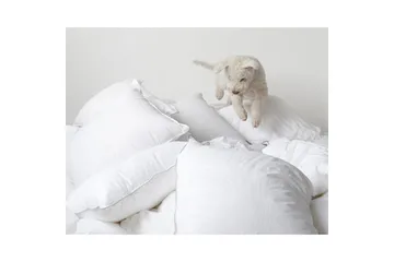 Kudde Hotellkudde - 50 x 60 cm (mellanhög) - Products - Textil & mattor - Sängkläder